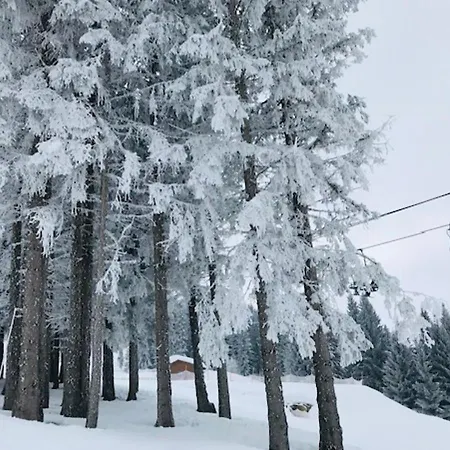 Studio Cosy La Clusaz 아파트 마니고